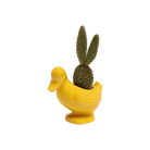 Duck Ceramic Indoor Plant Pot For Succulents - Chive US Wholesale