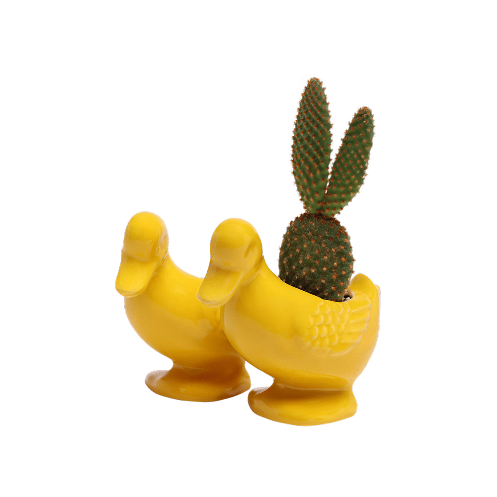 Duck Ceramic Indoor Plant Pot For Succulents - Chive US Wholesale