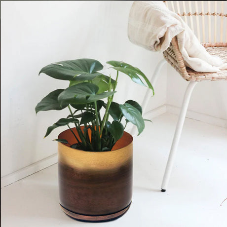 Baden Pot, Elevated Wholesale Decor