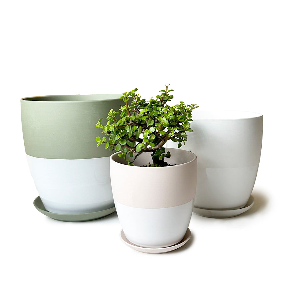 Minute Ceramic Pot And Saucer Set With Drainage – Chive Wholesale