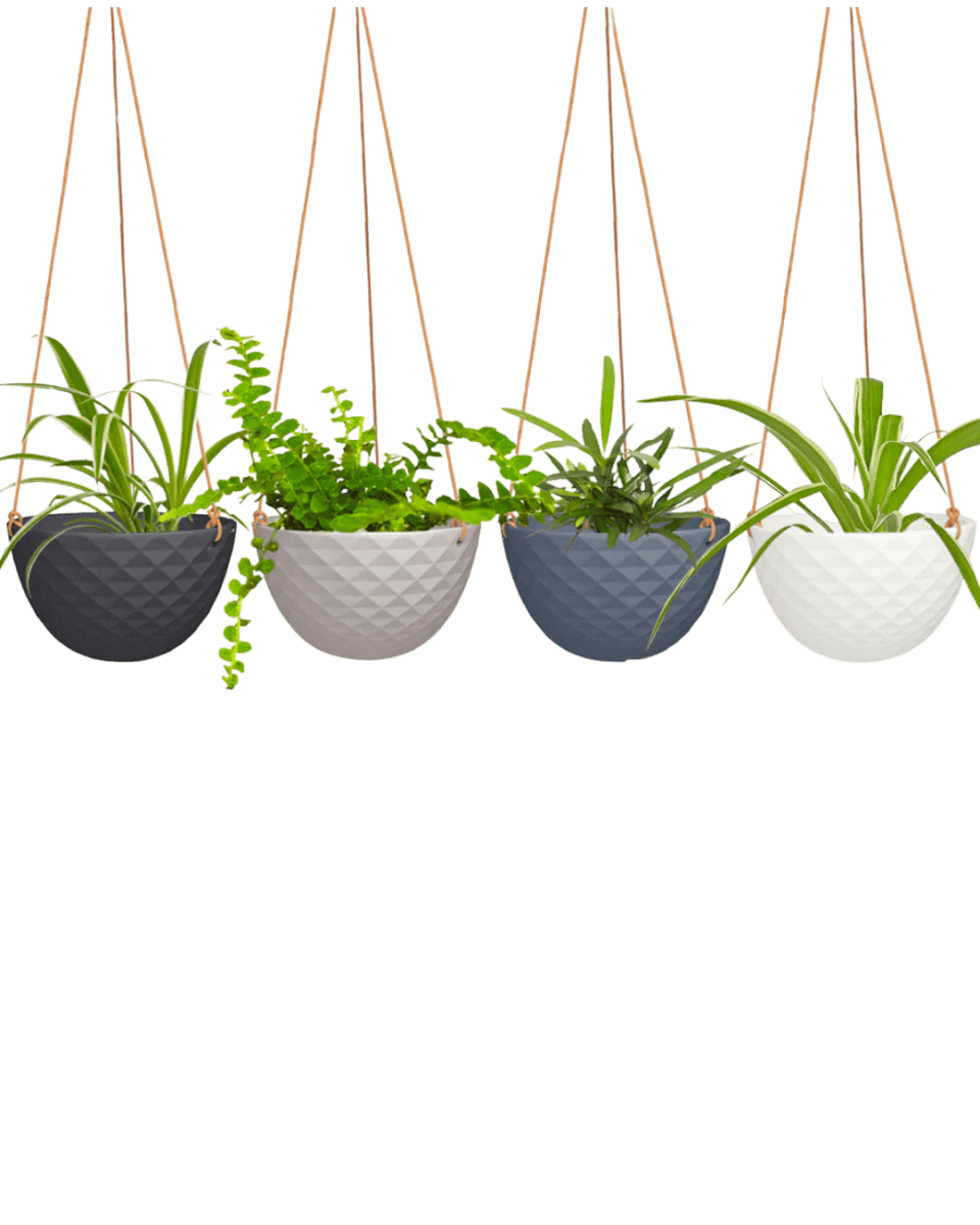 Mini Mofo Porcelain Modern Hanging Planter Kit - Chive US Wholesale