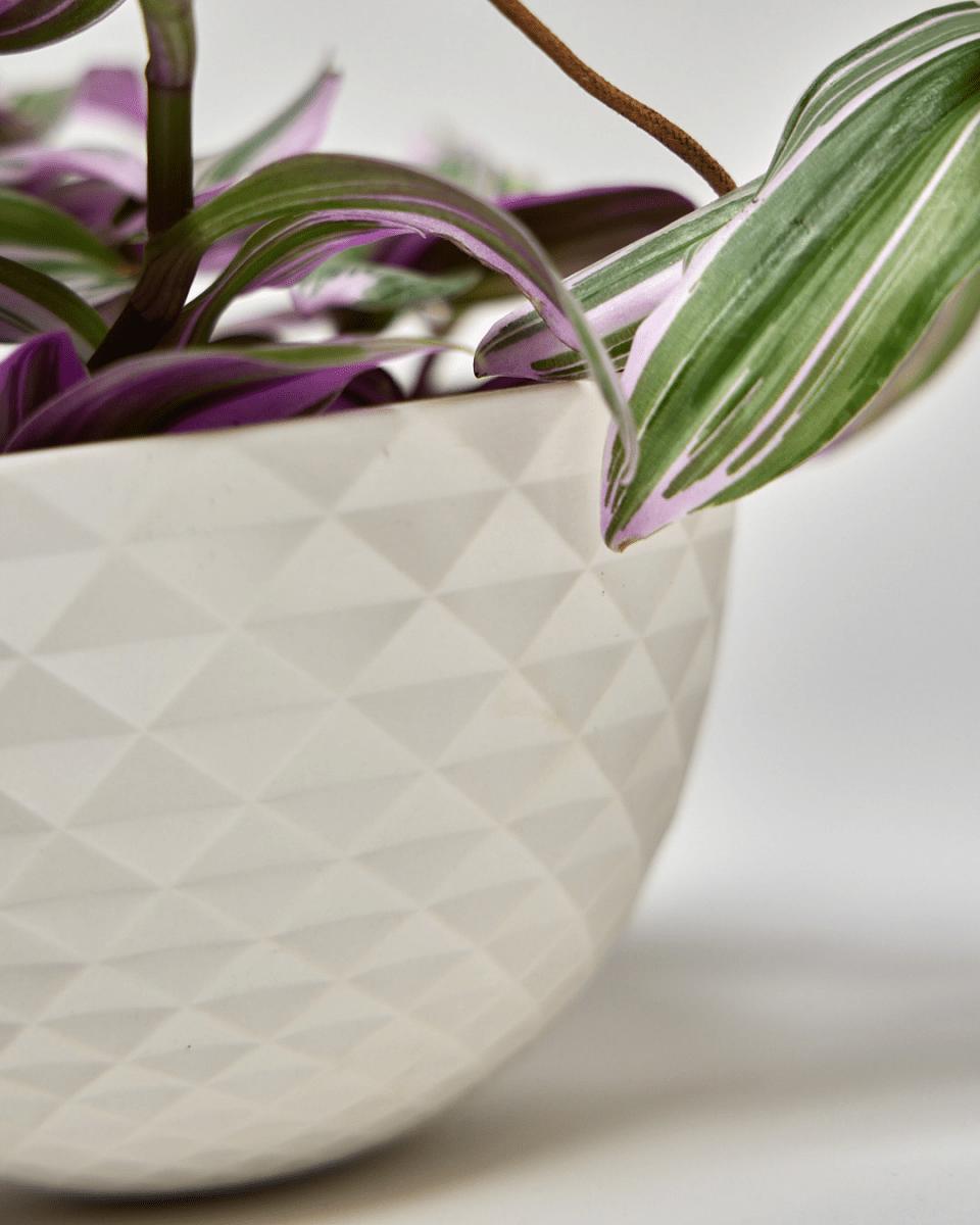 Mini Mofo Porcelain Modern Hanging Planter - Chive US Wholesale