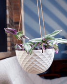 Mini Mofo Porcelain Modern Hanging Planter - Chive US Wholesale