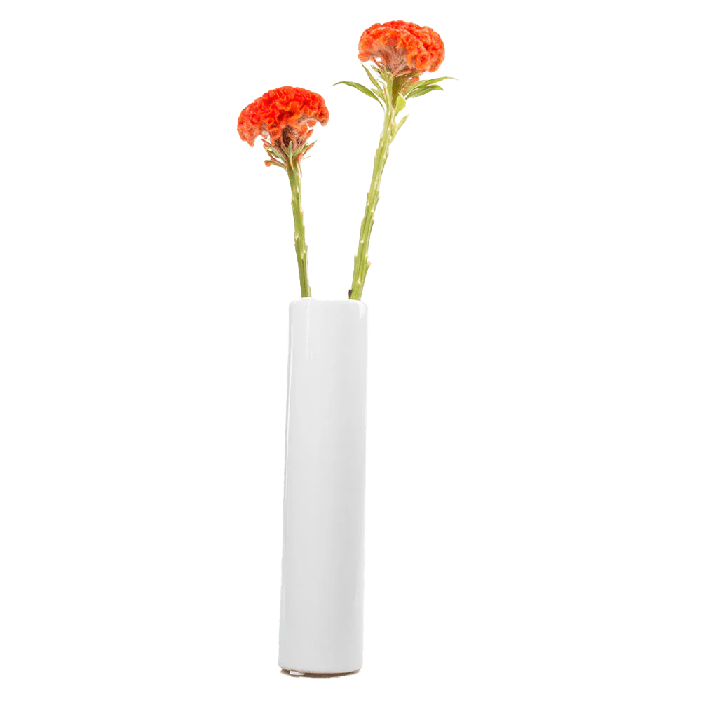 Moloko Ceramic Bud Vase Kit - Chive US Wholesale
