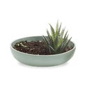 Moog Porcelain Succulent Garden Dish - Chive US Wholesale