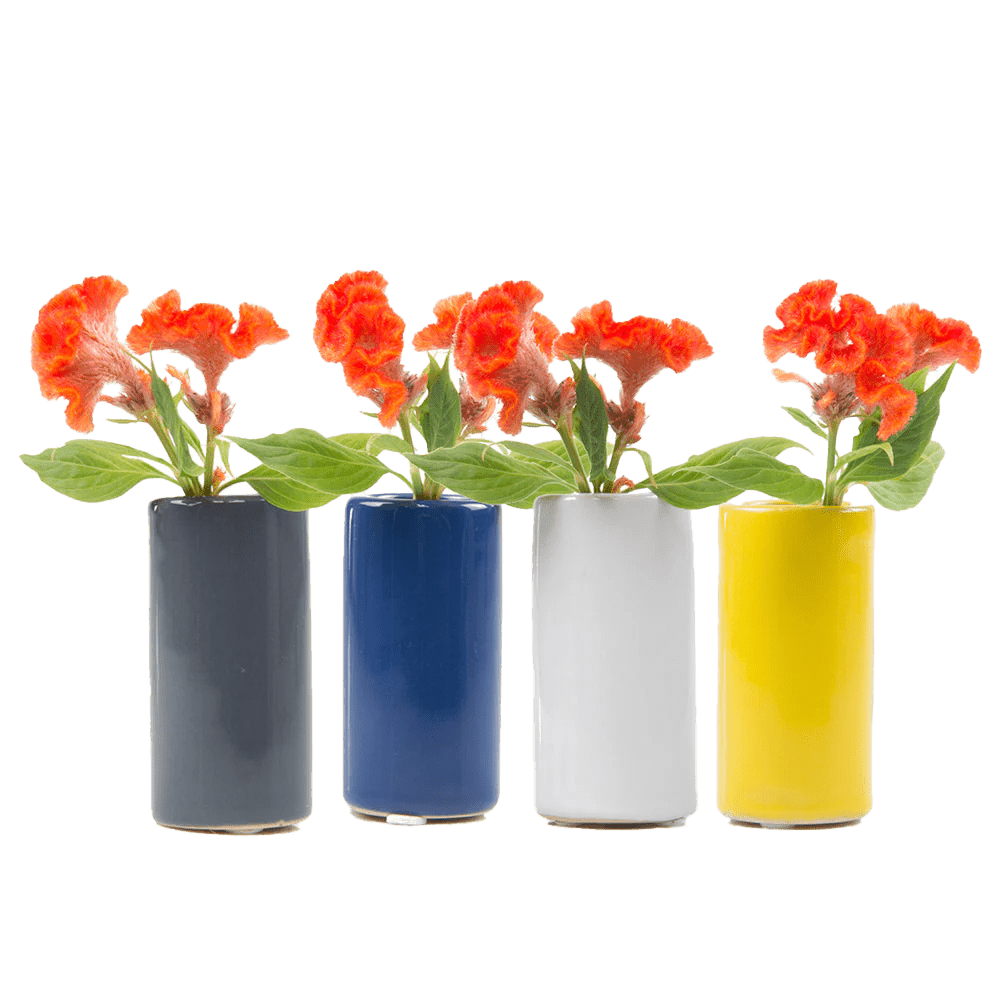 Moloko Ceramic Bud Vase Kit - Chive US Wholesale