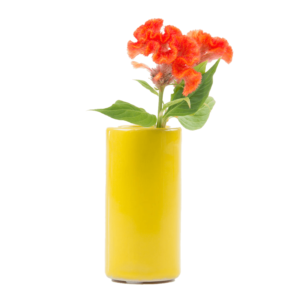 Moloko Ceramic Bud Vase Kit - Chive US Wholesale