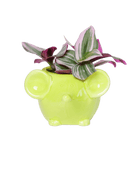 Mouse Ceramic Indoor Plant Pot For Succulents - Chive US Wholesale