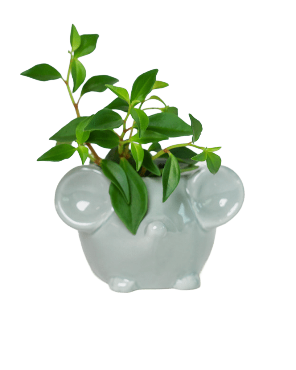Mouse Ceramic Indoor Plant Pot For Succulents - Chive US Wholesale