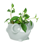 Mouse Ceramic Indoor Plant Pot For Succulents - Chive US Wholesale