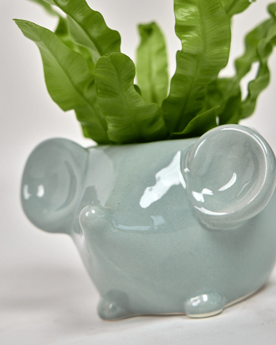 Mouse Ceramic Indoor Plant Pot For Succulents - Chive US Wholesale