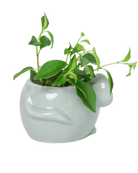 Mouse Ceramic Indoor Plant Pot For Succulents - Chive US Wholesale