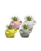 Mouse Ceramic Indoor Plant Pot Kit - Chive US Wholesale