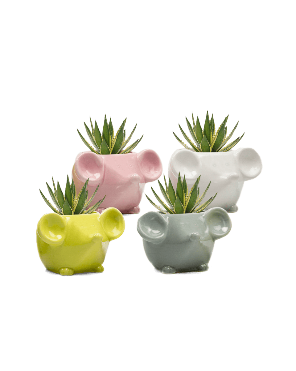 Mouse Ceramic Indoor Plant Pot Kit - Chive US Wholesale