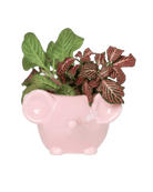 Mouse Ceramic Indoor Plant Pot For Succulents - Chive US Wholesale