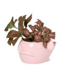Mouse Ceramic Indoor Plant Pot For Succulents - Chive US Wholesale