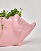 Mouse Ceramic Indoor Plant Pot For Succulents - Chive US Wholesale