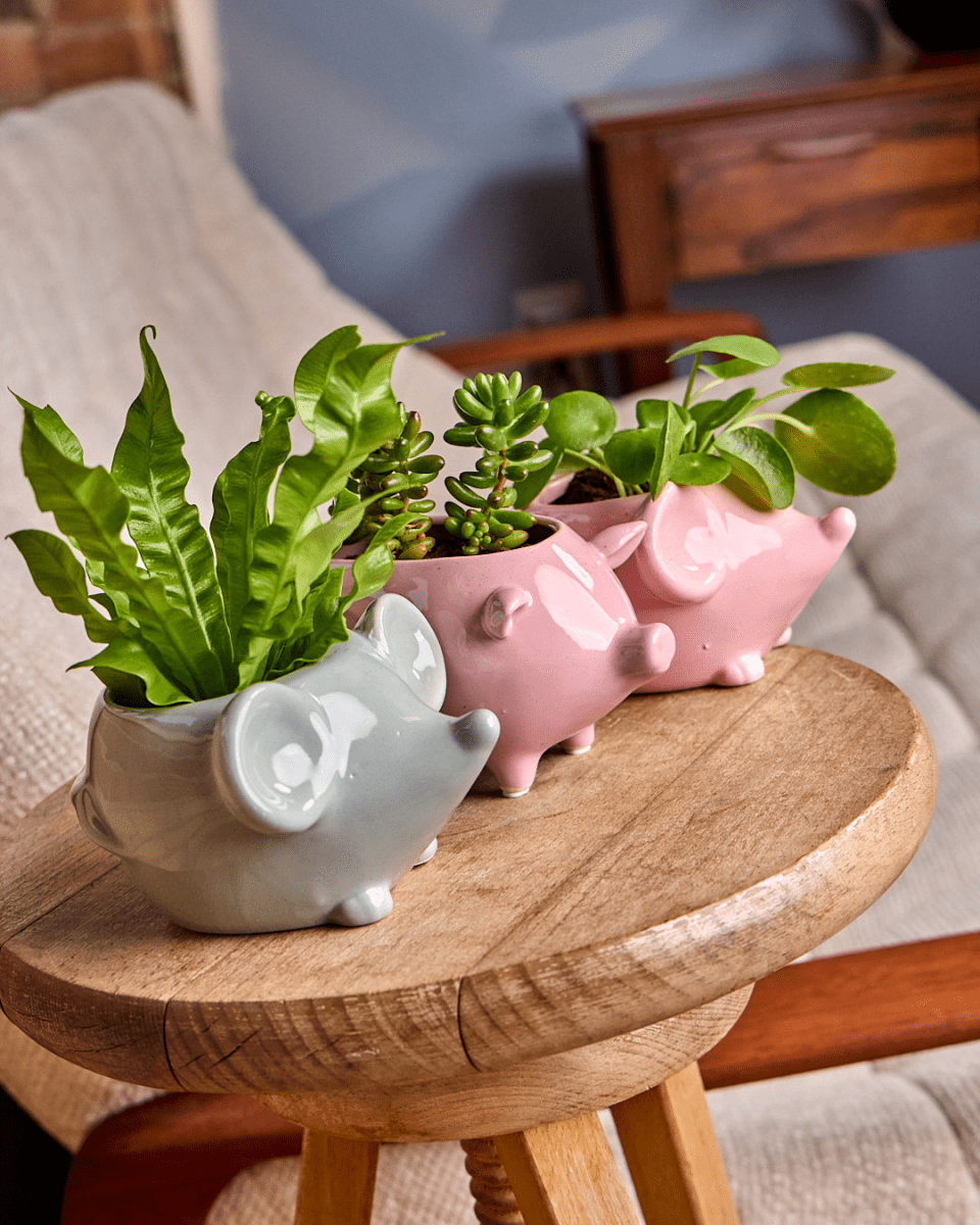 Mouse Ceramic Indoor Plant Pot For Succulents - Chive US Wholesale