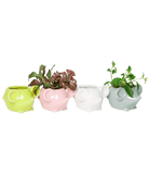 Mouse Ceramic Indoor Plant Pot For Succulents - Chive US Wholesale