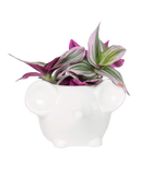 Mouse Ceramic Indoor Plant Pot For Succulents - Chive US Wholesale