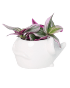 Mouse Ceramic Indoor Plant Pot For Succulents - Chive US Wholesale