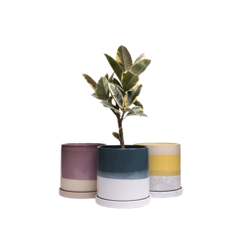 Minute Ceramic Pot And Saucer With Drainage Sets - Chive US Wholesale