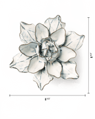 NA06 Blue White Columbine - Chive US Wholesale