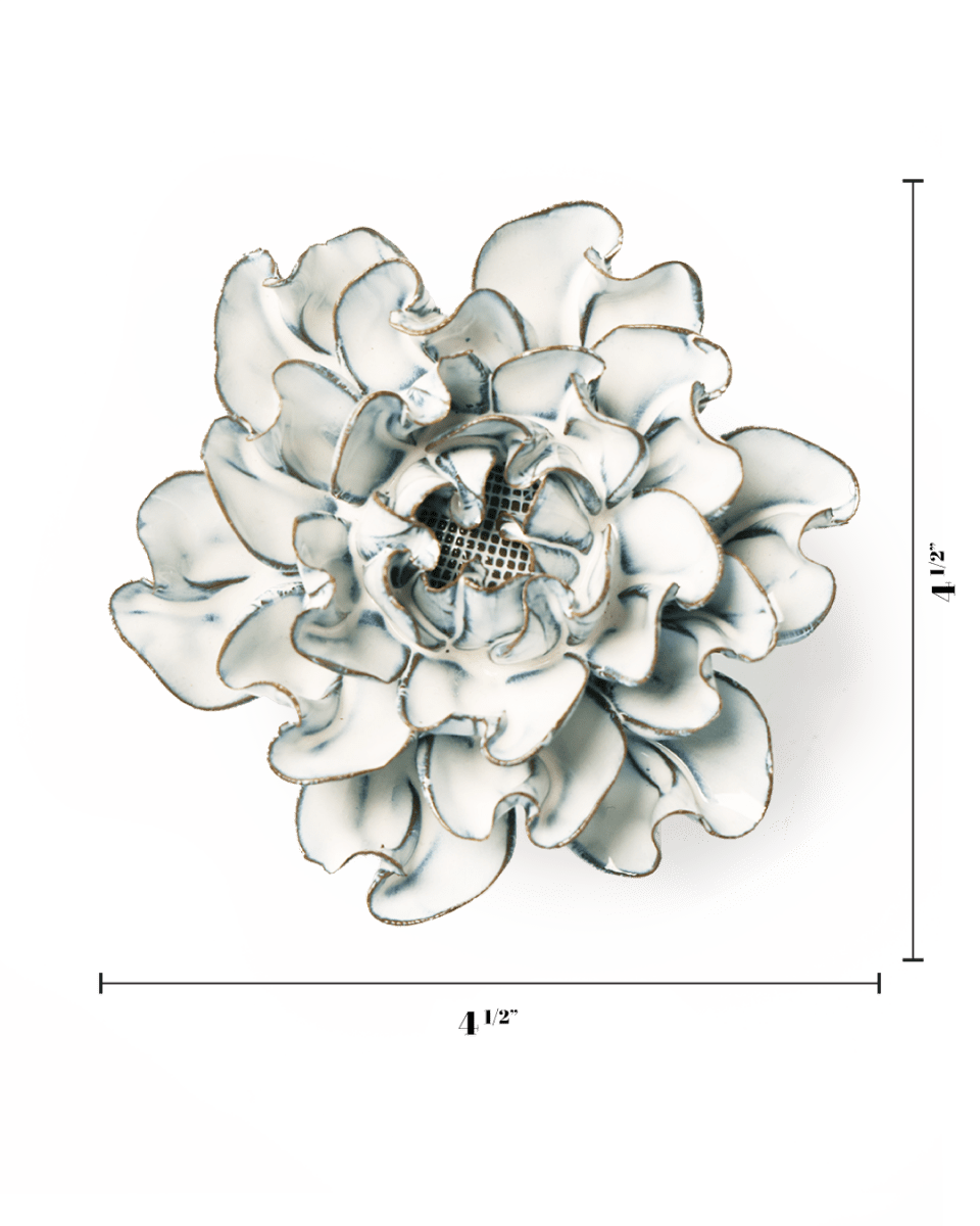 NA07 Blue White Hawthorn - Chive US Wholesale