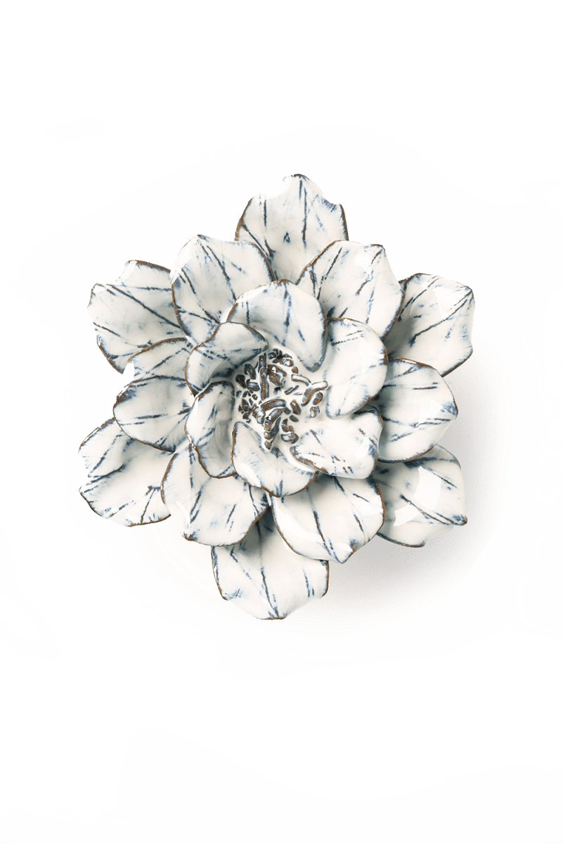 NA09 Blue White Cosmos - Chive US Wholesale