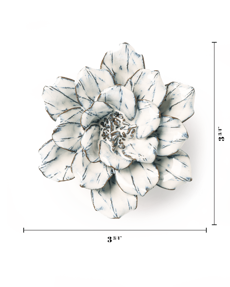 NA09 Blue White Cosmos - Chive US Wholesale