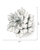 NA09 Blue White Cosmos - Chive US Wholesale