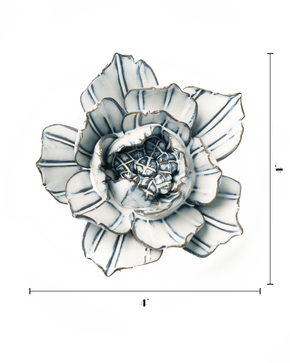 NA10 Blue White Purslane - Chive US Wholesale