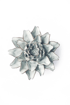NA11 Blue White King Protea - Chive US Wholesale