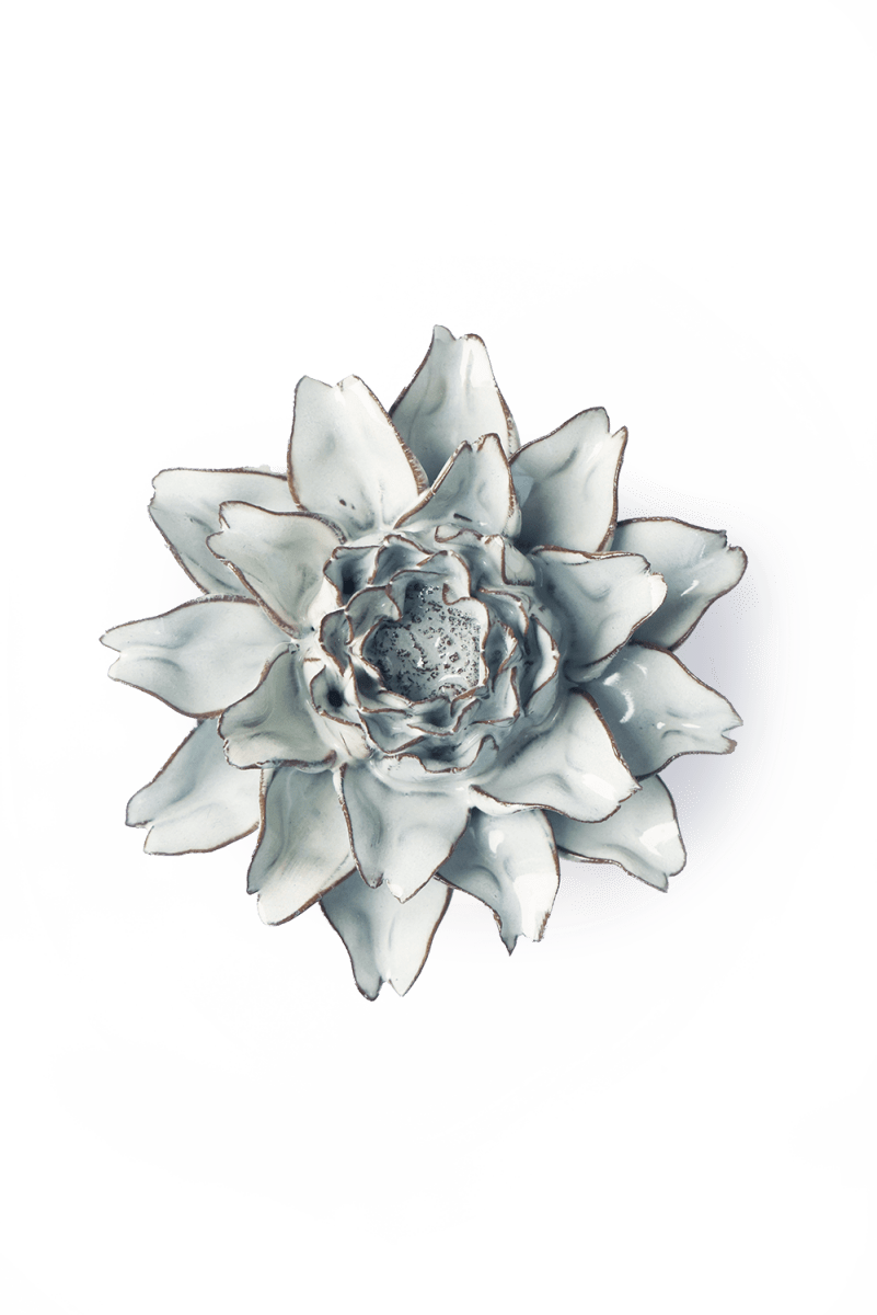 NA11 Blue White King Protea - Chive US Wholesale
