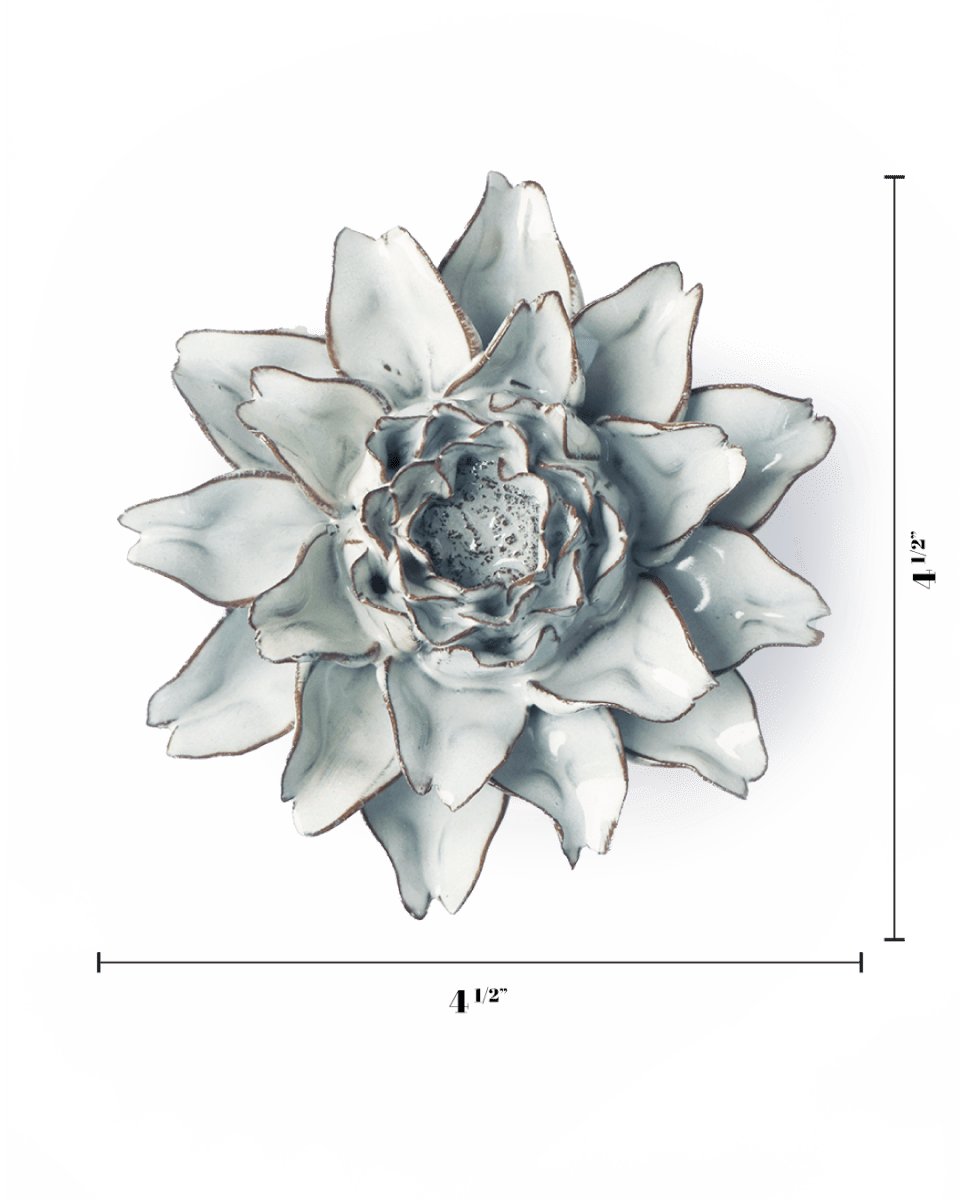 NA11 Blue White King Protea - Chive US Wholesale