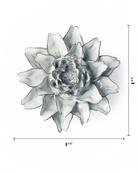 NA11 Blue White King Protea - Chive US Wholesale