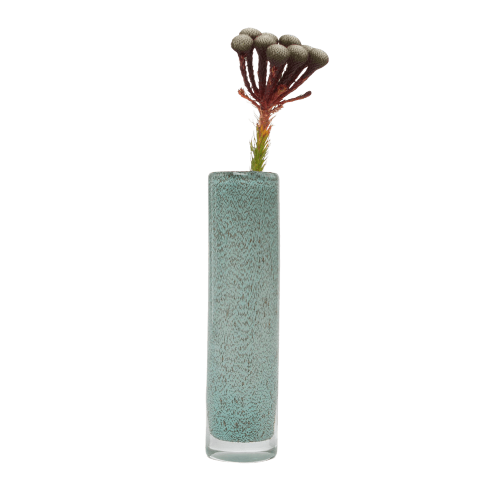 Nova Glass Flower Vase - Chive US Wholesale