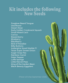 Pre - Order 2026 - 40 Seeds (September 2025) - Chive US Wholesale