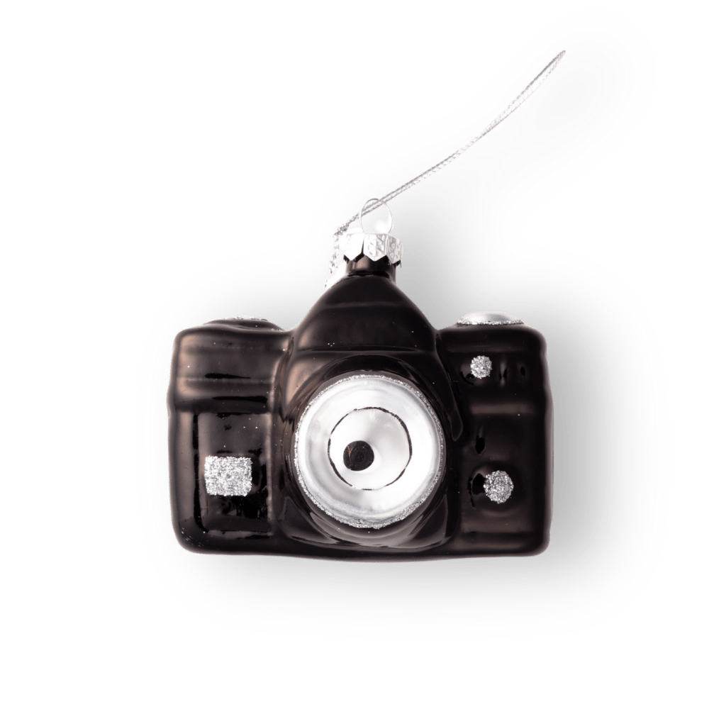 Camera Ornament - Chive US Wholesale
