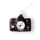 Camera Ornament - Chive US Wholesale