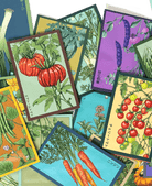 Pre - Order 2026 - 40 Seeds (September 2025) - Chive US Wholesale