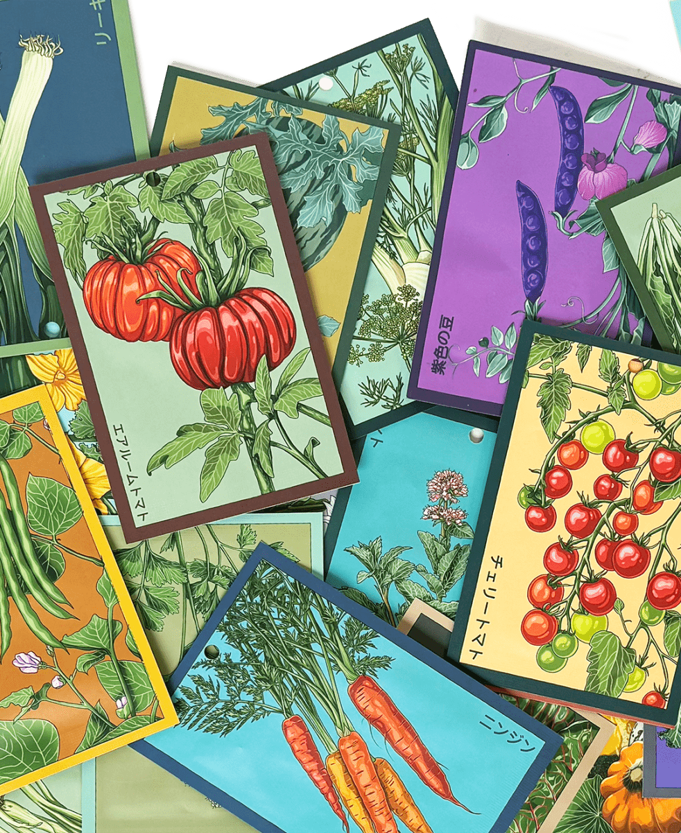 Pre - Order 2026 - 40 Seeds (September 2025) - Chive US Wholesale