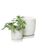 Paul Ceramic Pot And Saucer Set With Drainage - Chive US Wholesale