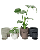 Paul Ceramic Pot And Saucer Set With Drainage - Chive US Wholesale