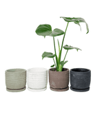 Paul Ceramic Pot And Saucer Set With Drainage - Chive US Wholesale