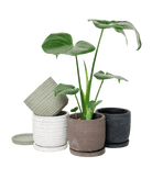 Paul Ceramic Pot And Saucer Set With Drainage - Chive US Wholesale