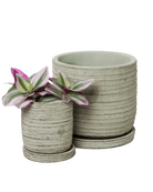 Paul Ceramic Pot And Saucer Set With Drainage - Chive US Wholesale