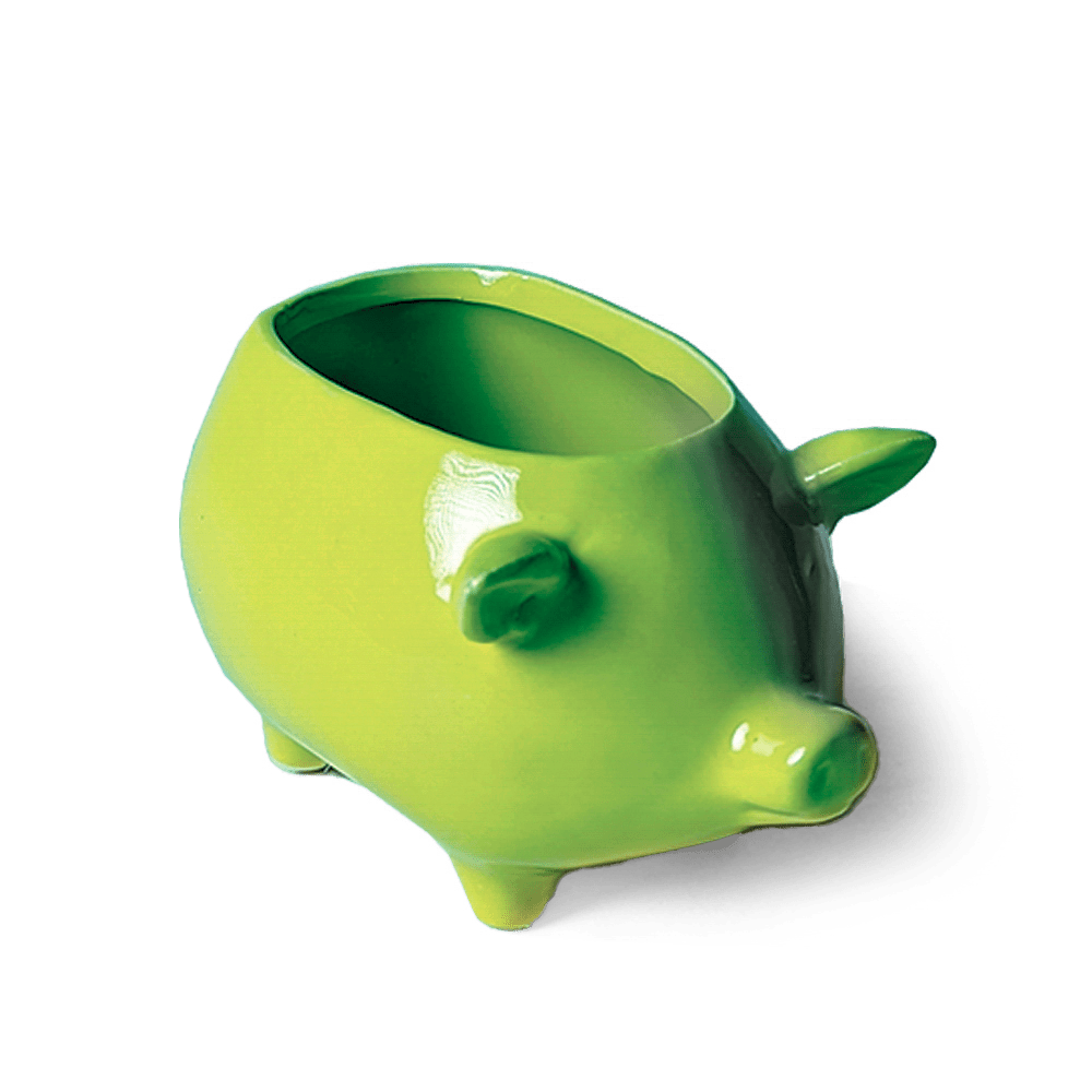 Pig Ceramic Indoor Plant Pot For Succulents - Chive US Wholesale