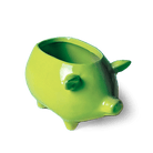 Pig Ceramic Indoor Plant Pot For Succulents - Chive US Wholesale