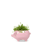 Pig Ceramic Indoor Plant Pot Kit - Chive US Wholesale